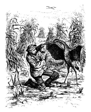 A crane bird attacking on a man, vintage line drawing or engraving illustrationのイラスト素材