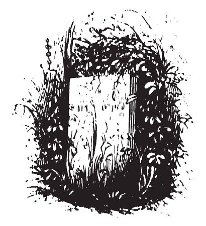 Grave of Nicholas Herkimer an American Patriot militia brigadier,vintage line drawing or engraving illustration.のイラスト素材