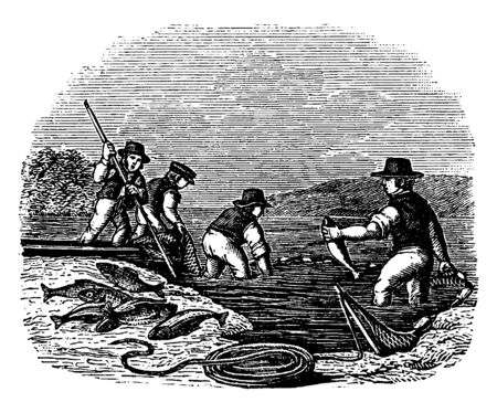 Group of men catching fish, vintage line drawing or engraving illustrationのイラスト素材