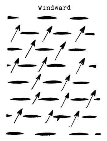 This picture showing a water flow in plants. This diagram shows how to flow water all around in the plants, vintage line drawing or engraving illustration.のイラスト素材