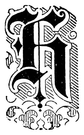 A decorative letter H with flowers and lines, vintage line drawing or engraving illustrationのイラスト素材