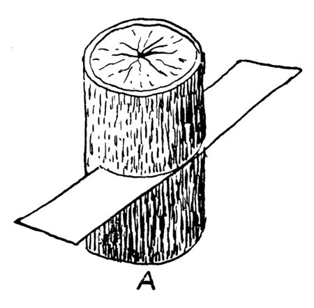 A picture showing the planes in which sections are cut transversely, vintage line drawing or engraving illustration.のイラスト素材