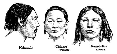 The Mongolian type consistent of Kalmucks, Chinese , and Amerindians in early development of race, vintage line drawing or engraving illustrationのイラスト素材