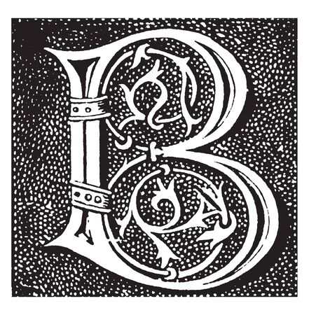 An ornamental capital letter B, vintage line drawing or engraving illustrationのイラスト素材