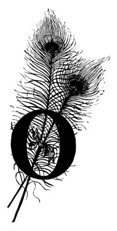 A decorative capital letter O with two peacock feathers, vintage line drawing or engraving illustrationのイラスト素材