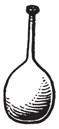 This picture is showing a pistil. This is an inner part of flower. This part is an ovary of flower, vintage line drawing or engraving illustration.のイラスト素材