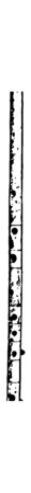 Aulos found at Pompeii and showing slides and rings, vintage line drawing or engraving illustration.