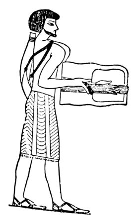 Asiatic Cithara of a man playing the cithara, vintage line drawing or engraving illustration.のイラスト素材