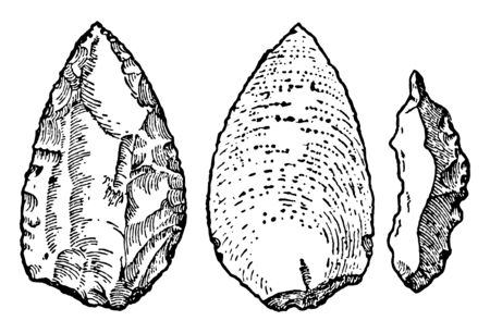 This image shows the different types of stones. Three images of early stone implemented during the Mousterian period, vintage line drawing or engraving illustration.のイラスト素材