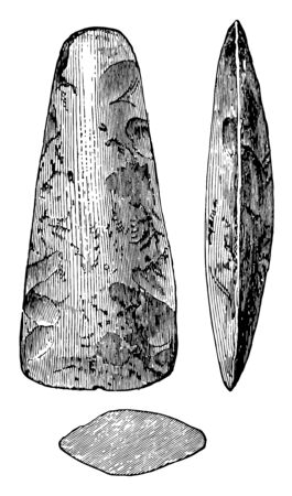 This image shows the polished stone Celts. 3 stones are shown in the image. Two stones are larger and one is smaller, vintage line drawing or engraving illustration.のイラスト素材