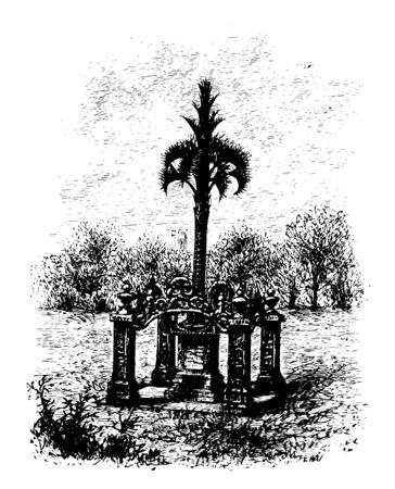 An Iron Palmetto was erected in honor of the fourty percent of South Carolina Palmetto regiment who died of deases and wounds regiment vintage line drawing.のイラスト素材