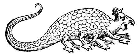 A picture which looks like a dragon snake, vintage line drawing or engraving illustration.のイラスト素材