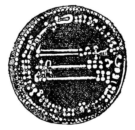 An ancient dinar engraved with some Arabic words, vintage line drawing or engraving illustration.のイラスト素材