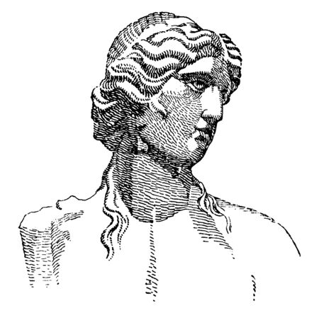 Portrait of the classical Greek and Roman deity. It is known as Apollo and is one of the most important and complex of the Olympian deity in Greek and Roman mythology, vintage line drawing or engraving illustration.のイラスト素材