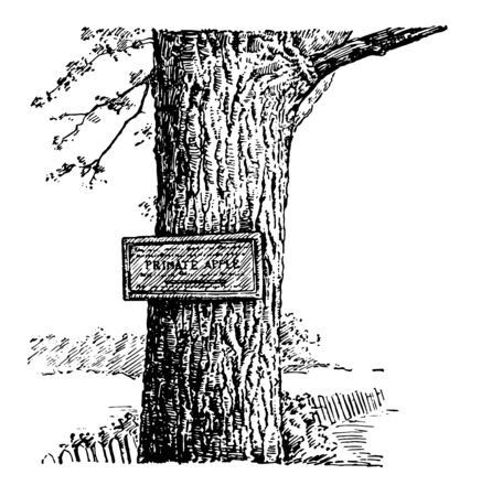 In this image the tablet was erected in the town of Camillus on the original site of the primate apple tree, vintage line drawing or engraving illustration.のイラスト素材