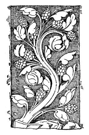 Early Gothic Ornament Vine was a design found in Notre Dame, vintage line drawing or engraving illustration.のイラスト素材