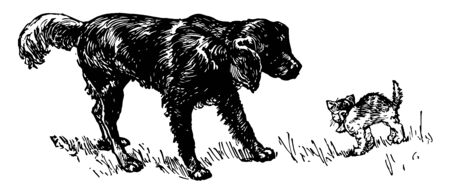 A kitten and a dog, this scene shows a dog looking at a cat with bow, vintage line drawing or engraving illustrationのイラスト素材