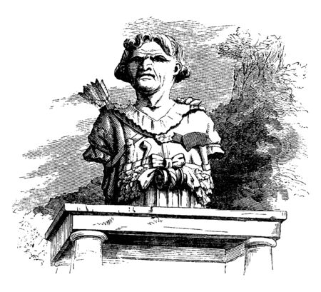 Bust of Man is a sculpted or cast representation of the upper part of the human figure, vintage line drawing or engraving illustration.のイラスト素材