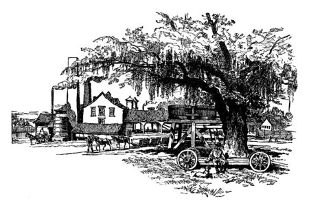 This illustration represents A Sugarcane Mill, vintage line drawing or engraving illustration.のイラスト素材