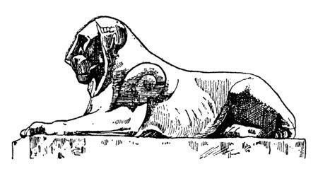 Egyptian Lion is found in the Capital of Rome, vintage line drawing or engraving illustration.のイラスト素材