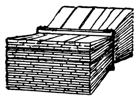 This illustration represents Shingles which is made with a base mat, vintage line drawing or engraving illustration.のイラスト素材