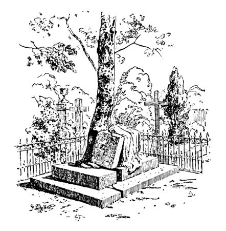 A huge gravestone is broken by the growth of the roots of a tree, vintage line drawing or engraving illustration.のイラスト素材