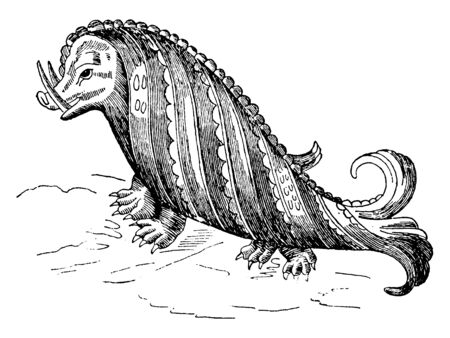 This picture show a walrus sea monster known as Rosmarine, vintage line drawing or engraving illustration.のイラスト素材