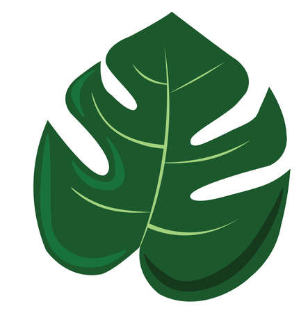 Tropical leaf, illustration, vector on white background.のイラスト素材