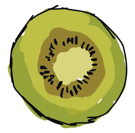 Half kiwi, illustration, vector on white background.のイラスト素材