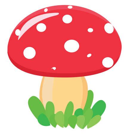 Red mushroom, illustration, vector on white background.のイラスト素材