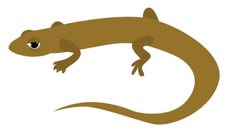 Little lizard, illustration, vector on white background.のイラスト素材