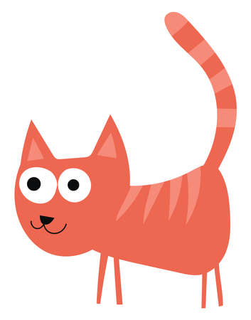 Orange cat, illustration, vector on white background.のイラスト素材