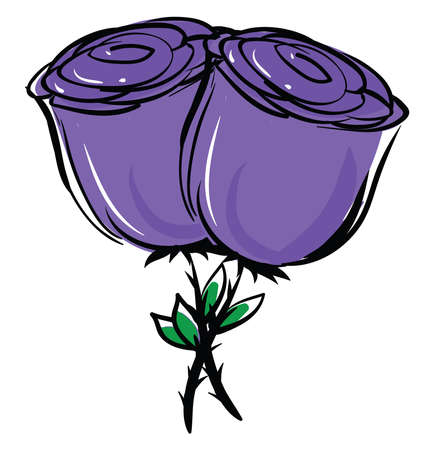 Purple rose, illustration, vector on white background.のイラスト素材