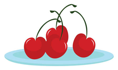 Red cherry, illustration, vector on white background.