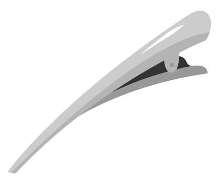 Barrette, illustration, vector on white background.のイラスト素材