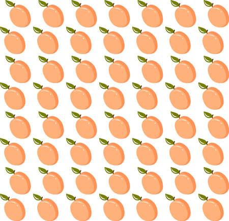 Apricot wallpaper, illustration, vector on white background.
