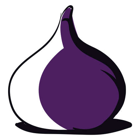 Fig drawing, illustration, vector on white background.のイラスト素材