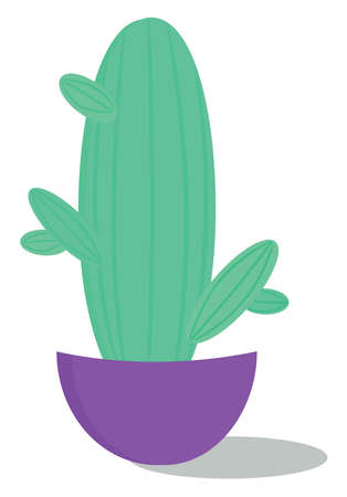 Cactus in pot, illustration, vector on white background.のイラスト素材