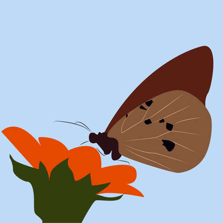 Butterfly on flower, illustrationのイラスト素材