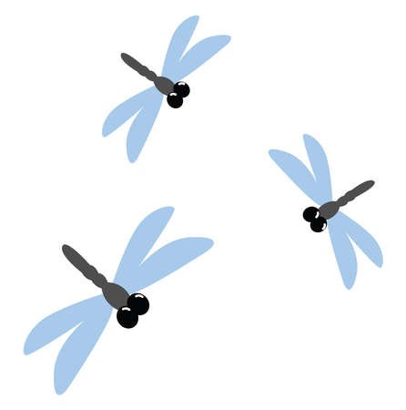 Dragonflies, illustration, vector on white background.のイラスト素材