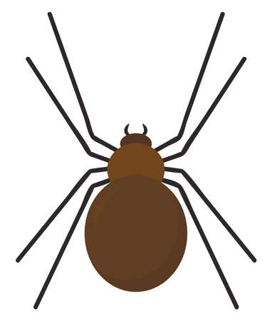 Brown spider, illustration, vector on white background.のイラスト素材