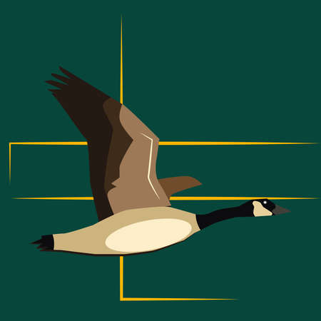 Goose, illustration, vector on green background.のイラスト素材