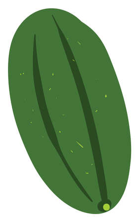 Cucumber flat, illustration, vector on white background.のイラスト素材