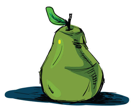 Green pear drawing, illustration, vector on white background.のイラスト素材