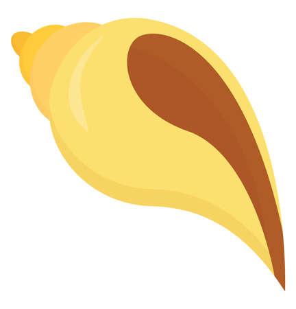 Yellow sea shell, illustration, vector on white background.のイラスト素材