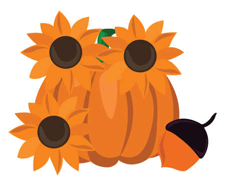 Sunflower and pumpkin, illustration, vector on white background.のイラスト素材
