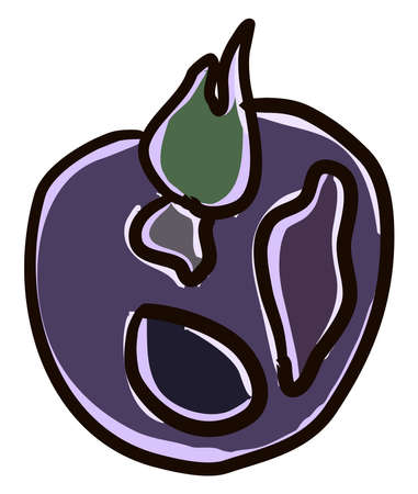 Purple tomato, illustration, vector on white background.のイラスト素材