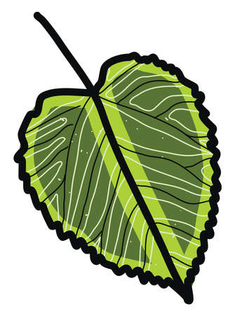 Green leaf, illustration, vector on white background.のイラスト素材