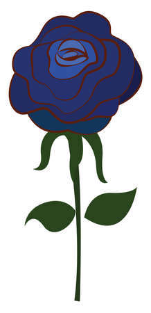 Blue rose, illustration, vector on white background.のイラスト素材