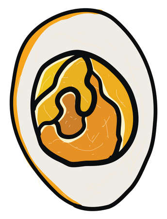 Hard Boiled egg, illustration, vector on white background.のイラスト素材
